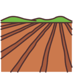 Land & Plots