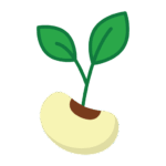 Seeds & Plants