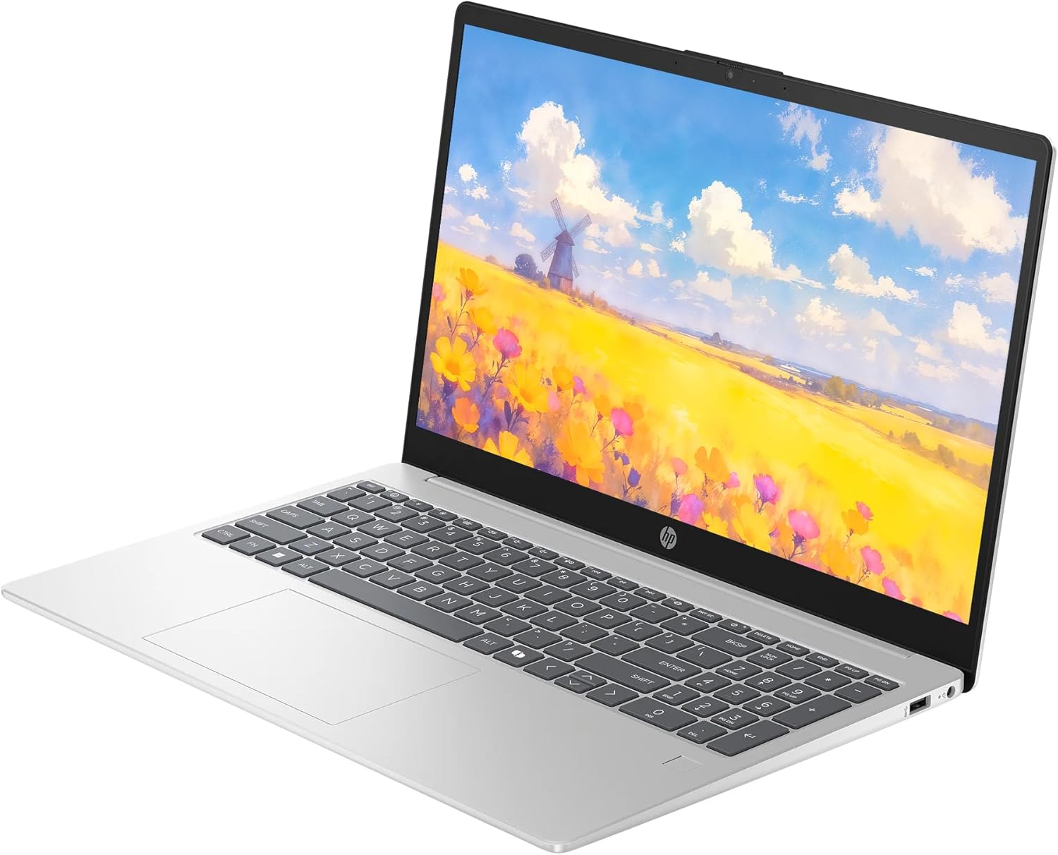 HP 15.6″ Laptop– i5 / 256GB