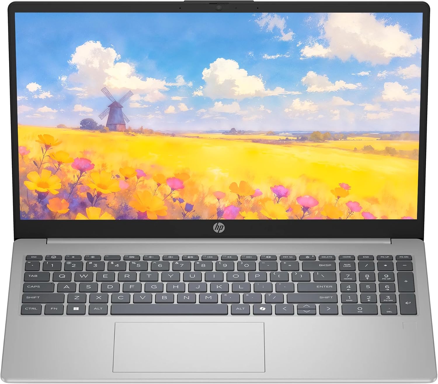 HP 15.6″ Laptop– i5 / 256GB